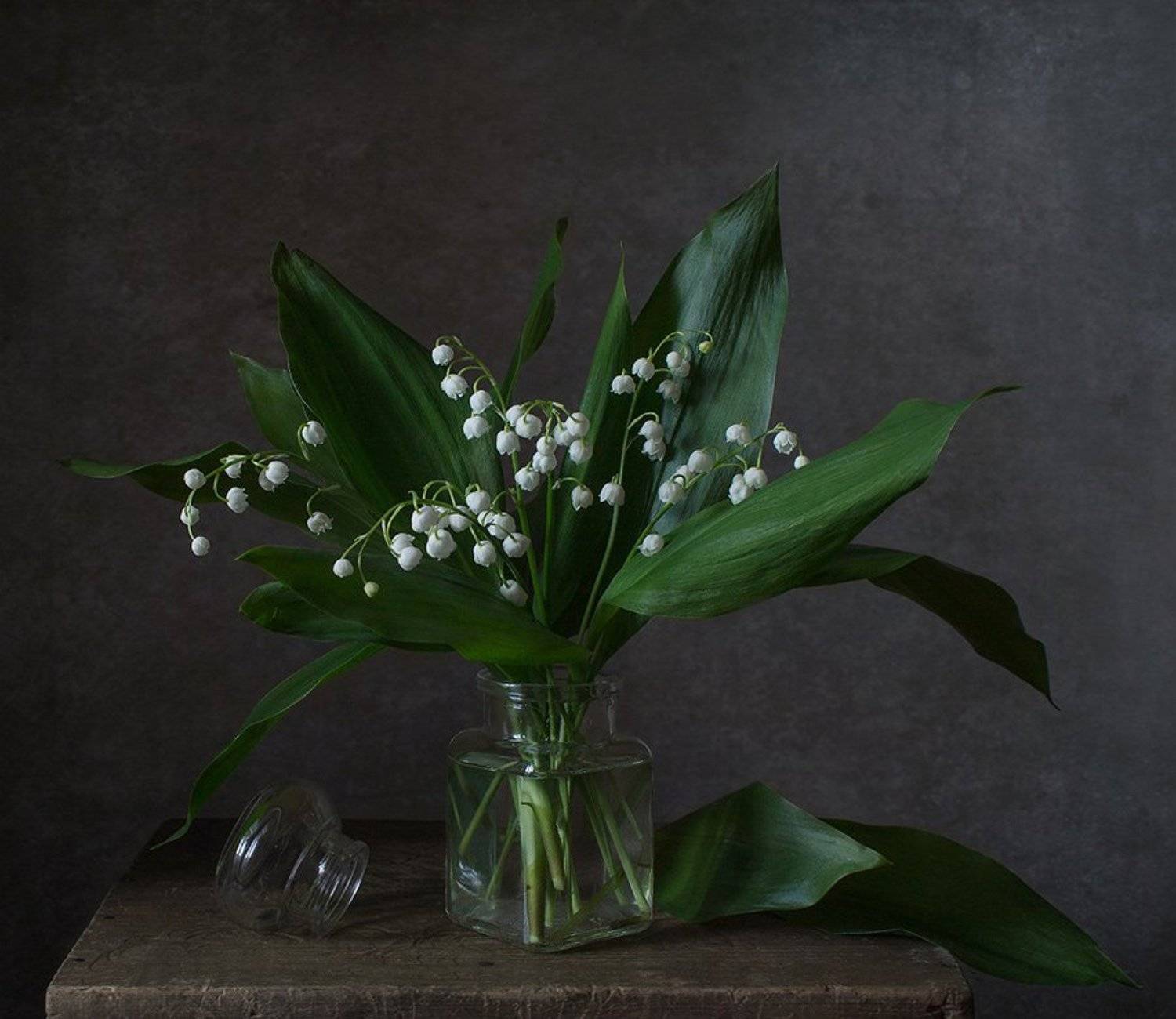 натюрморт, цветы, ландыши, весна, Курочкина Диана