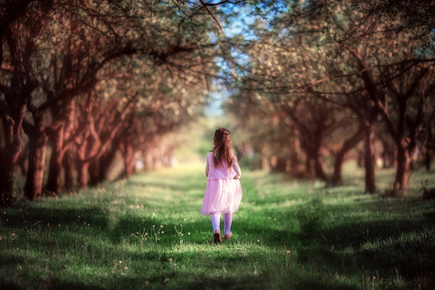 , Рыжая Даша