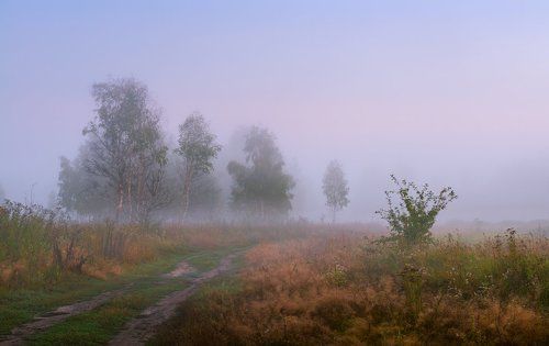 Рассветные сумерки