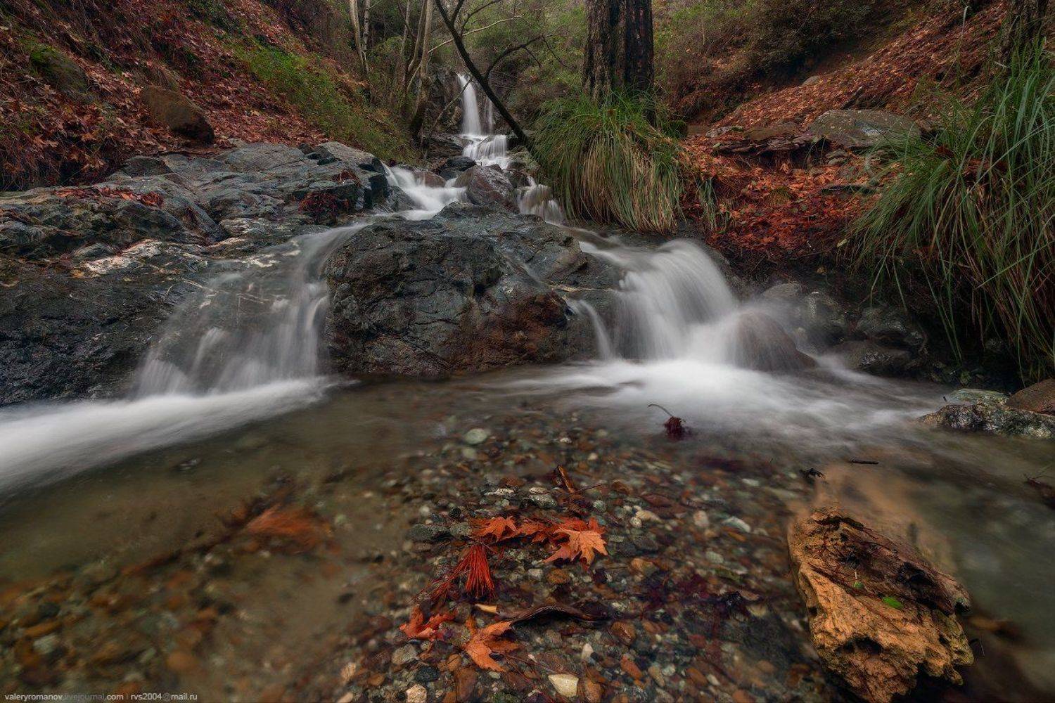 Природа, Водопад, Лес, Поток, Осень, Река, Скала, Вода, Пейзаж, Мох, Лист, Дерево, Гора, Влажный, Течение, Падение, Кипр, Троодос, Меса Потамос, Nature, Waterfall, Forest, Stream, Autumn, River, Rock, Water, Outdoors, Landscape, Scenics, Moss, Leaf, Flowi, Валерий Романов