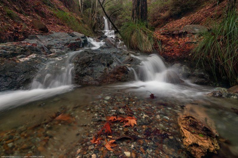 Природа, Водопад, Лес, Поток, Осень, Река, Скала, Вода, Пейзаж, Мох, Лист, Дерево, Гора, Влажный, Течение, Падение, Кипр, Троодос, Меса Потамос, Nature, Waterfall, Forest, Stream, Autumn, River, Rock, Water, Outdoors, Landscape, Scenics, Moss, Leaf, Flowi Водопад Меса Потамос фото превью