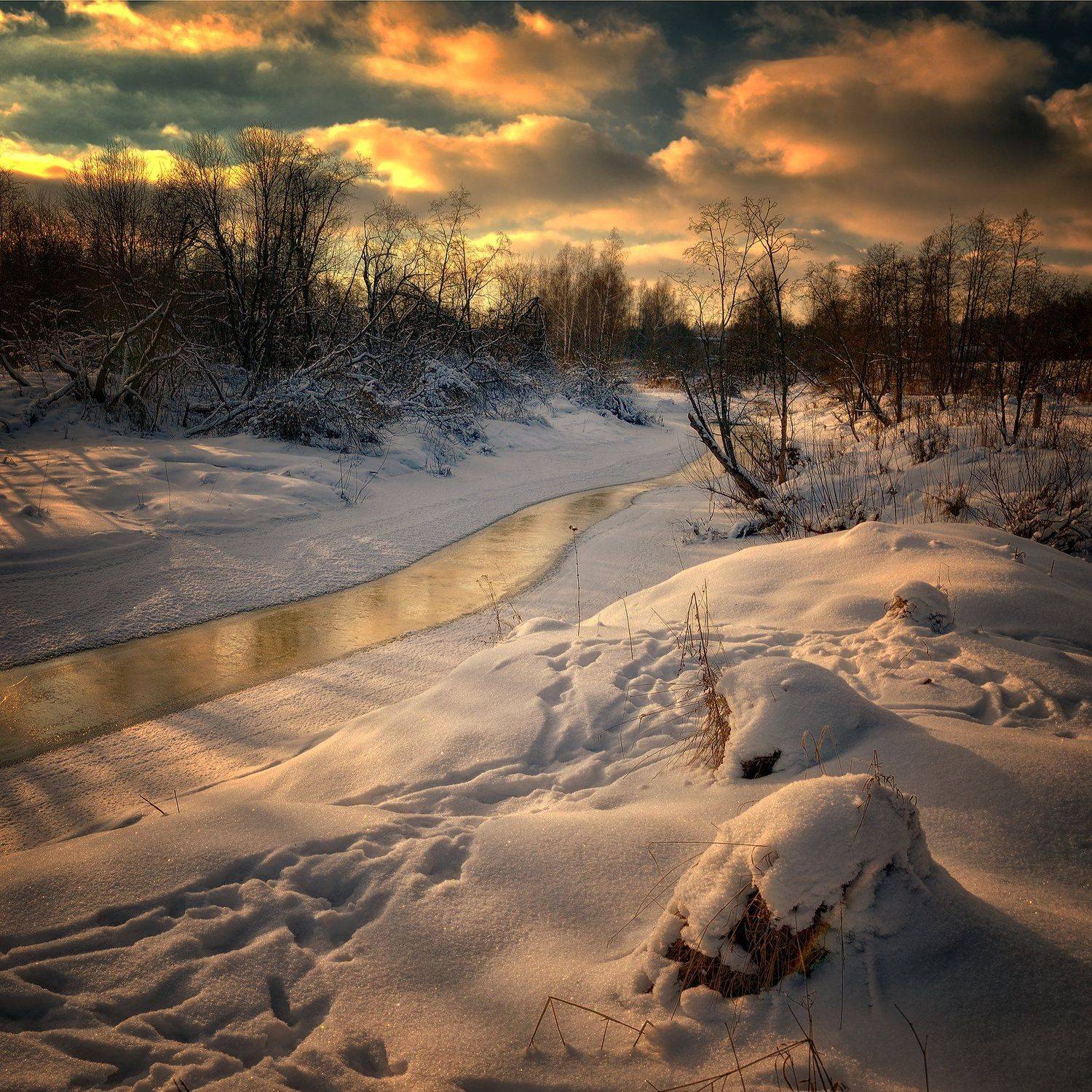 , Алексей Никонов