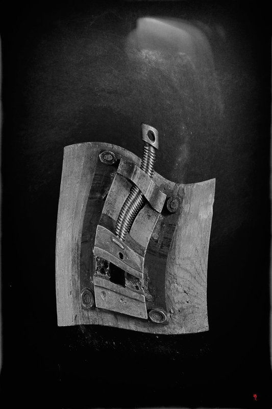 ph. «тисы»...  из серии [смерть дяди Паши] фото превью