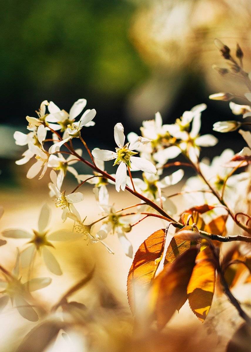 , Чернякова Анна