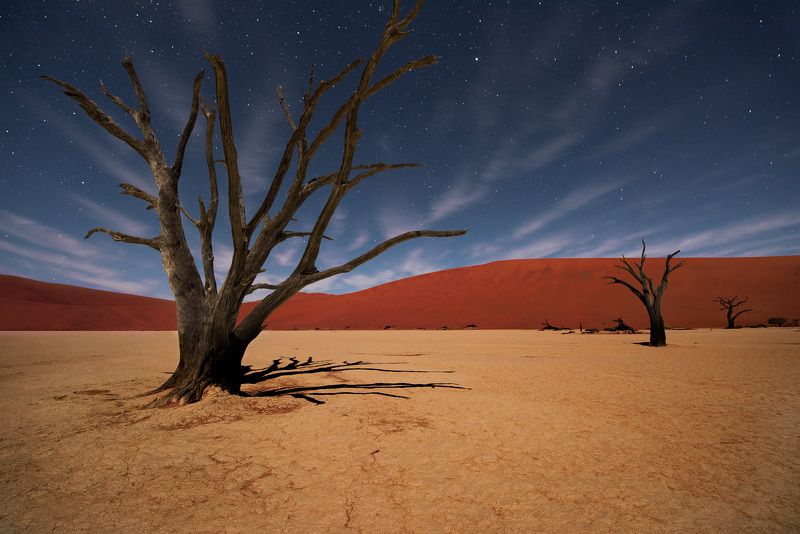 дедвлей, намибия, лунный свет, ночь Ночь в Долине Смерти фото превью