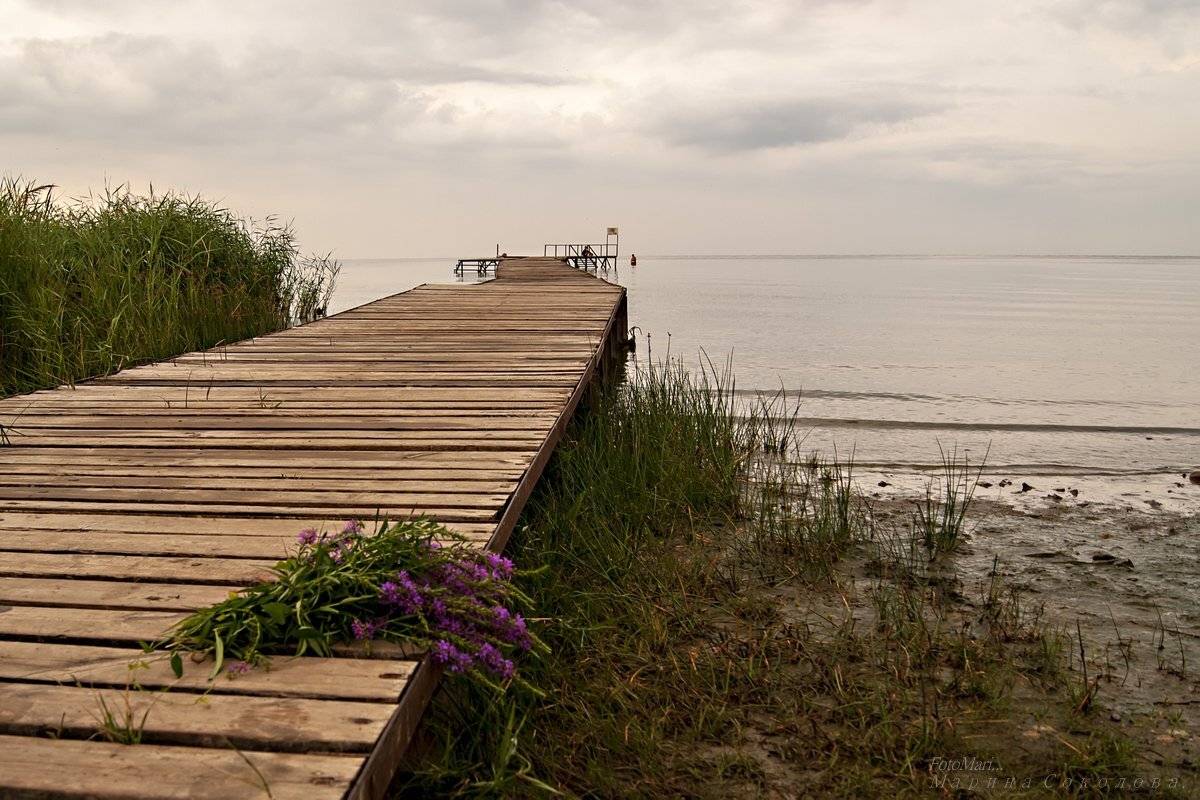 , Марина Соколова