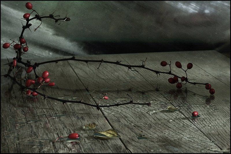 Барбарисовый этюд фото превью