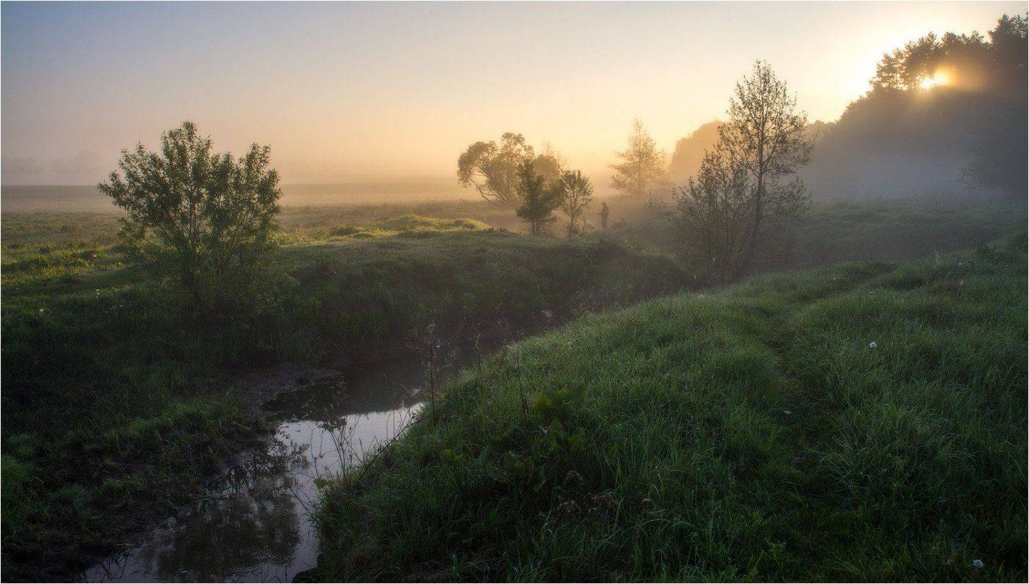 , Сергей Добровольский