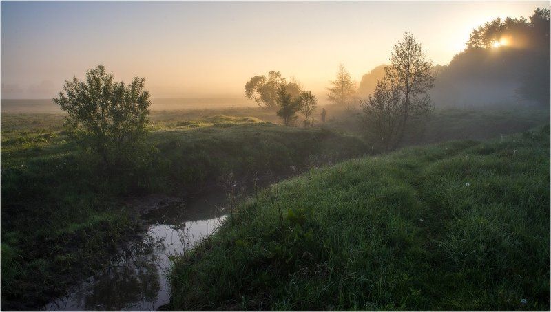 Правильное утро... фото превью