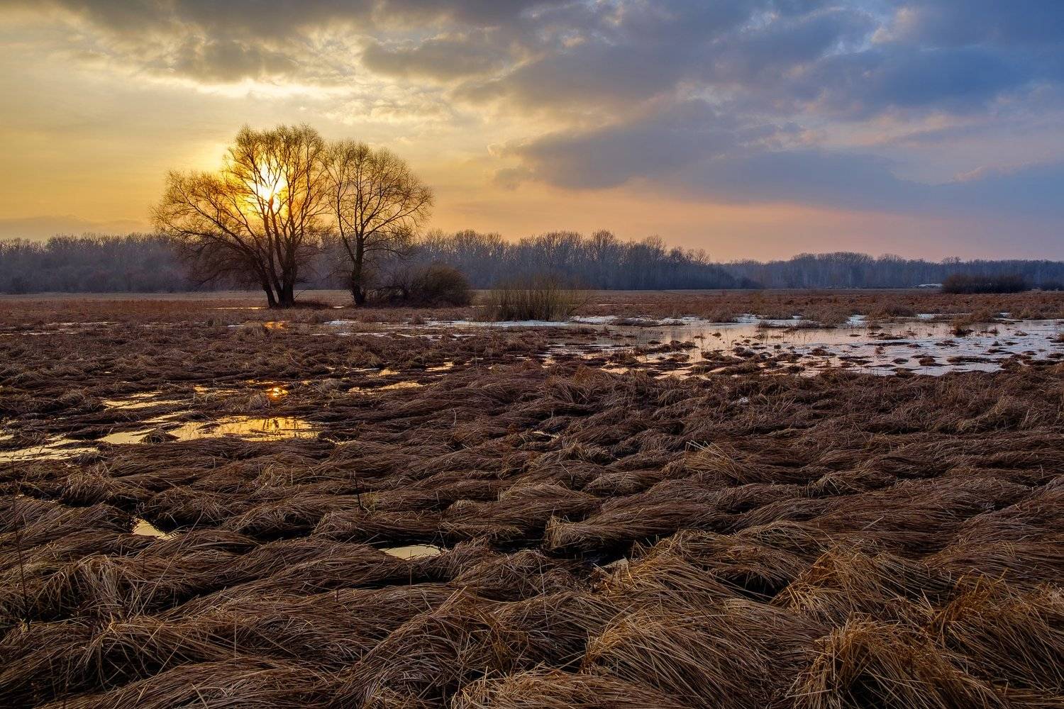 закат,пейзаж,вечер,landscape,nature,sunset, Alex Arendar