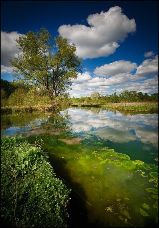 * фото превью
