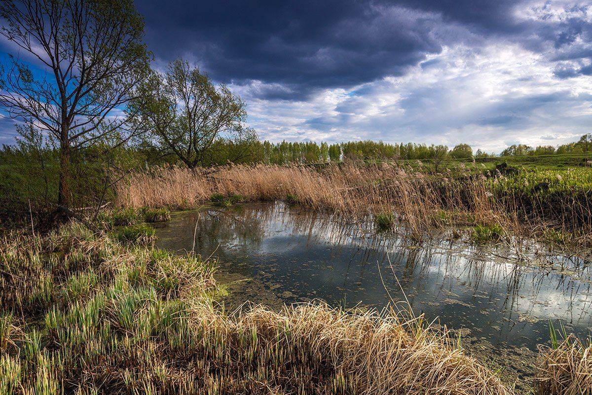 весна, май, пруд, Владислав Никишин