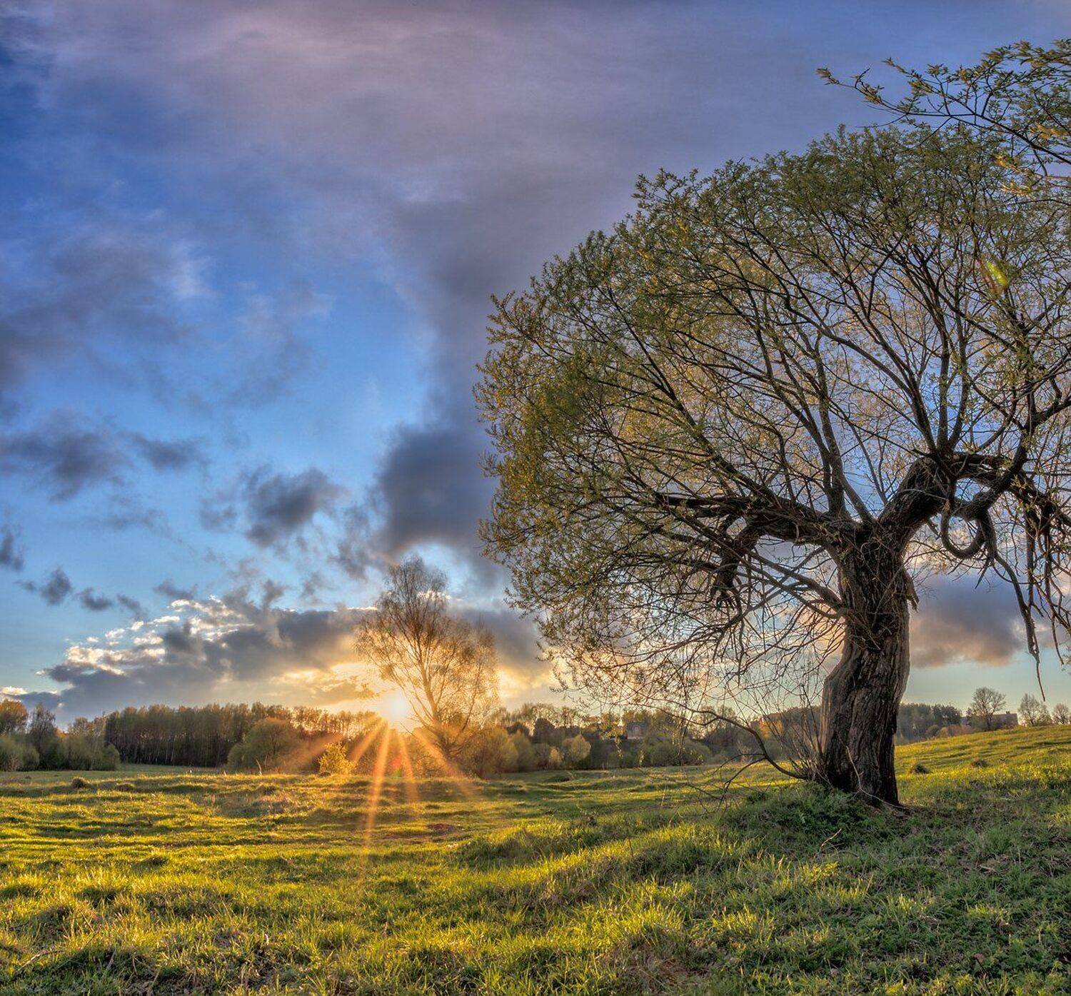 , Николай Андреев