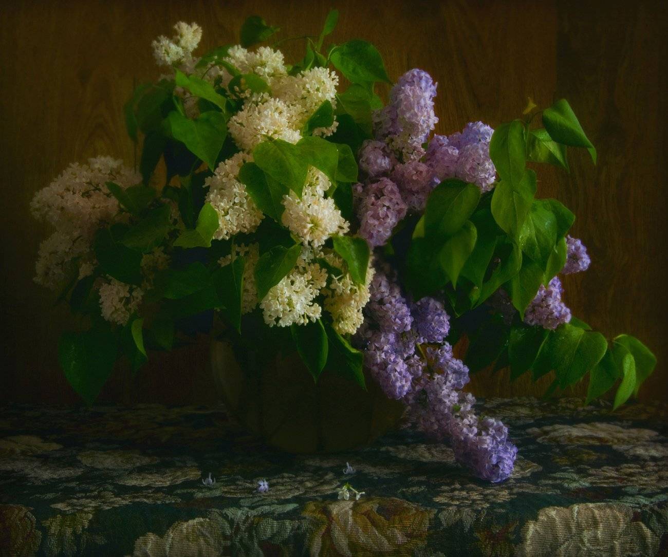 , Елена Брежицкая