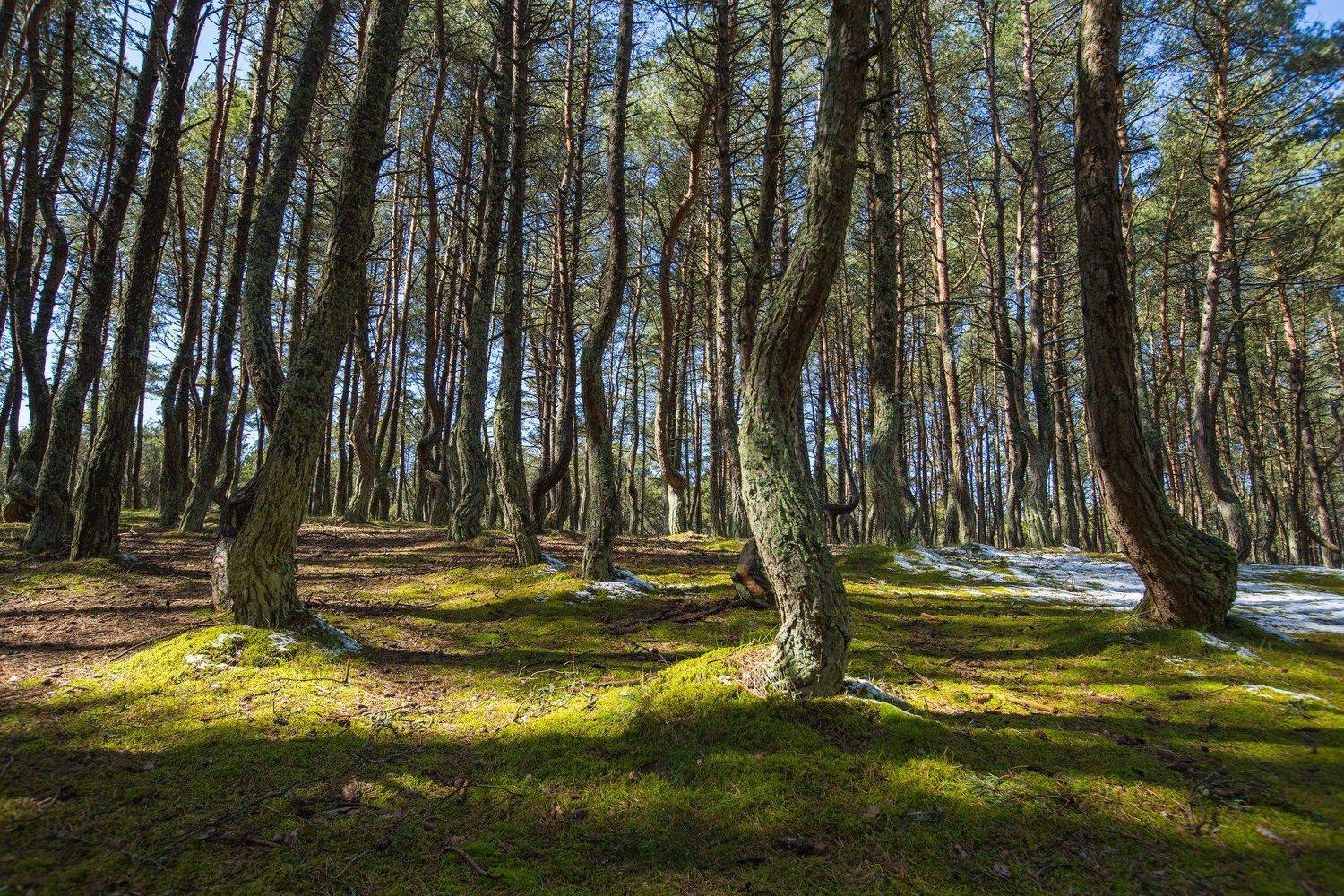 , Александр Шилов