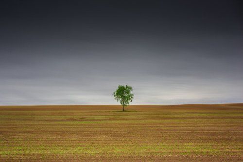 Один в поле