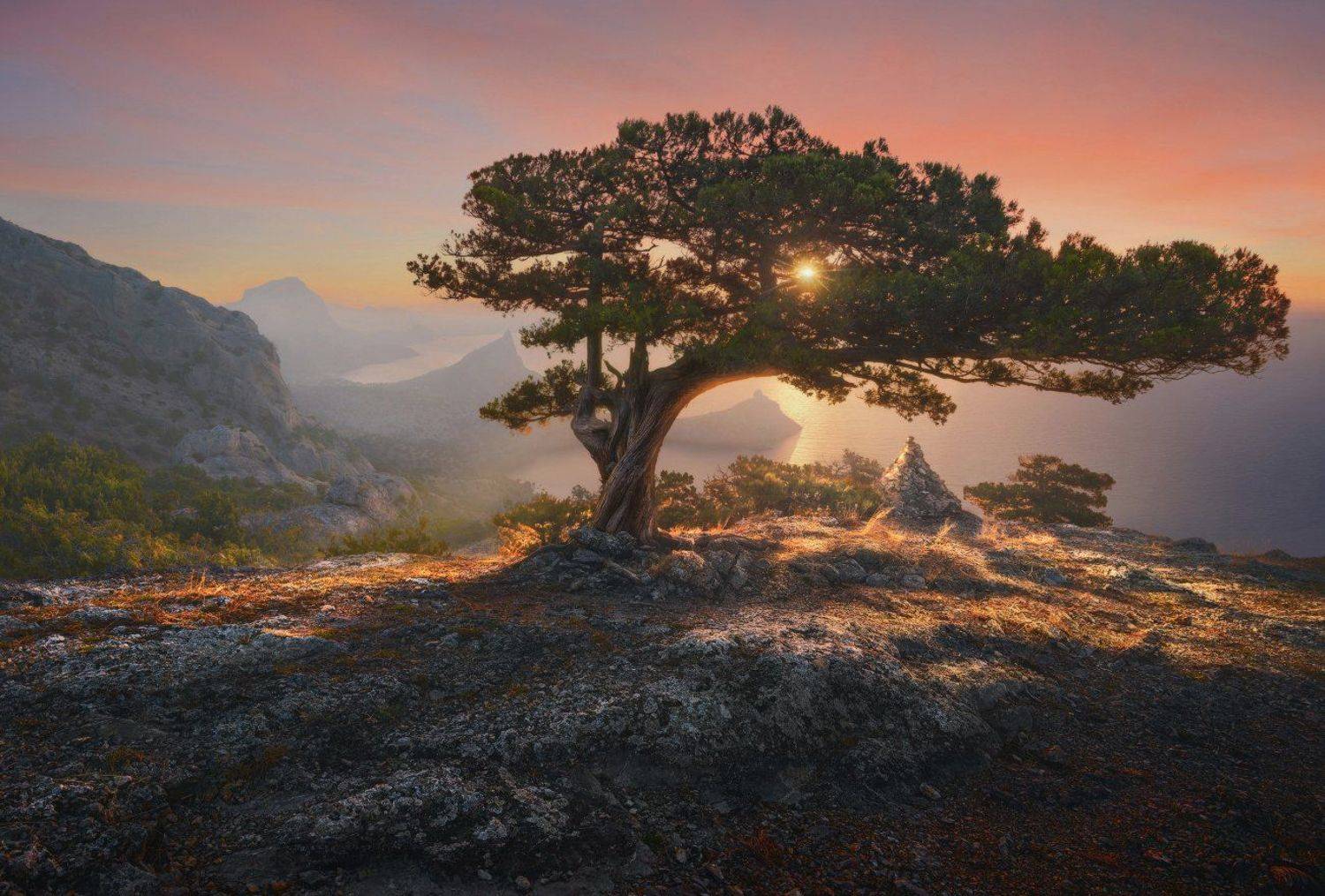 Новый Свет, Ilya Melikhov