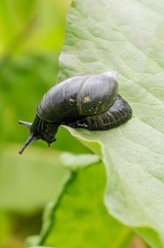 Вот я забралась! 