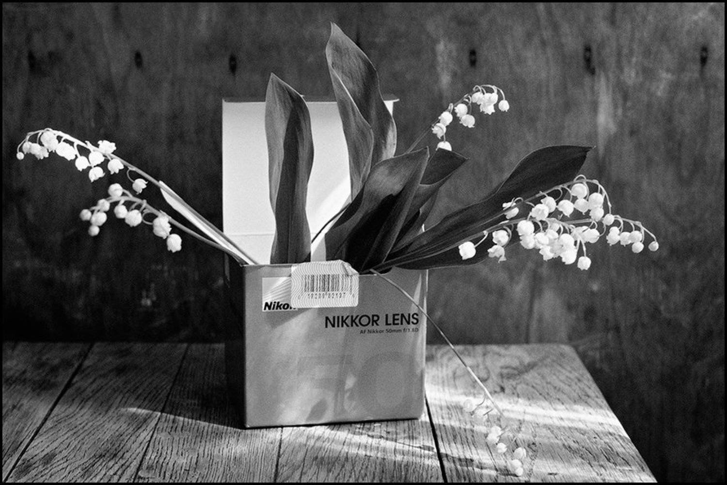 , Олег Вахник