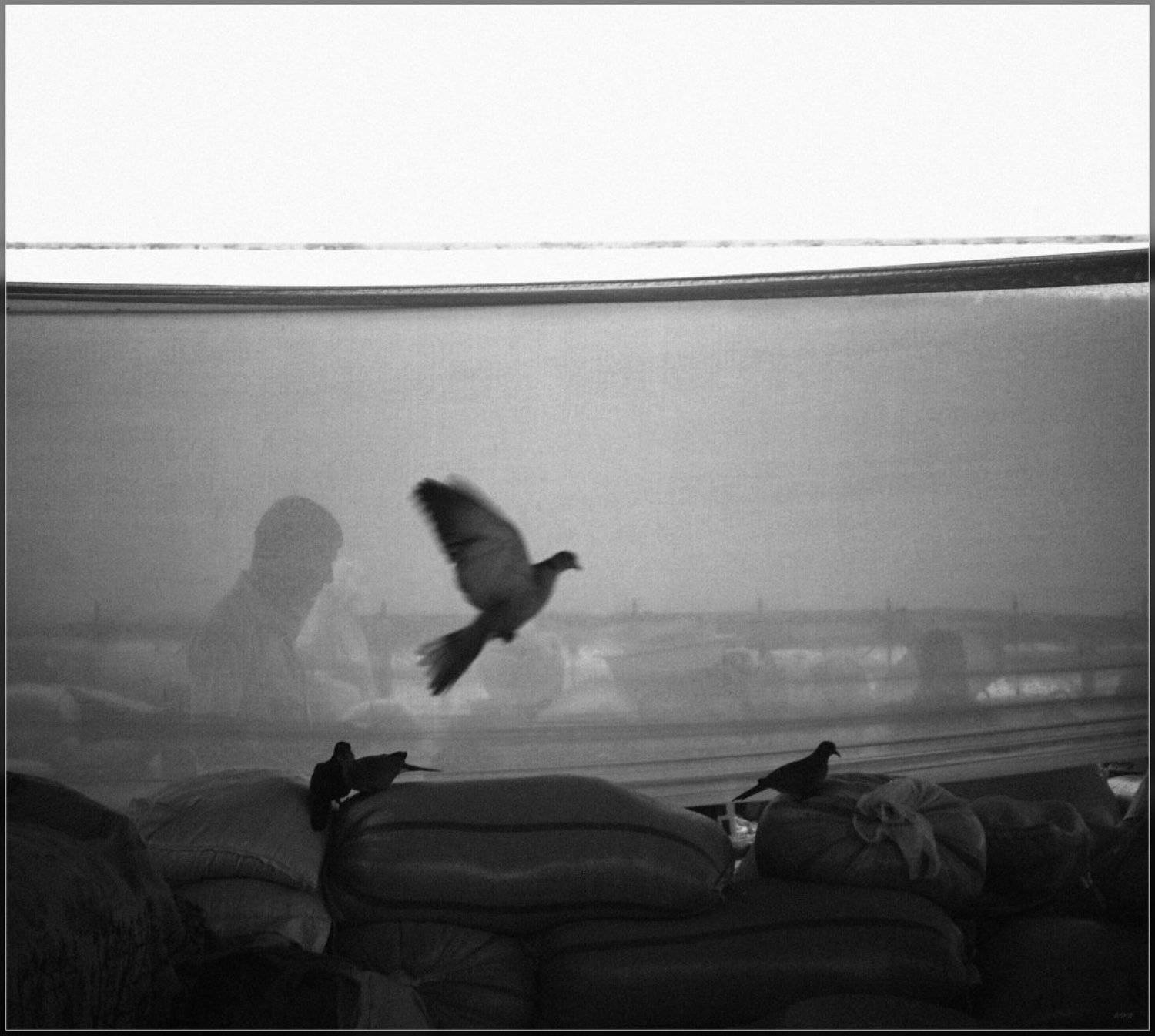 , Ильдар Садыков