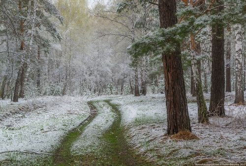 Трудные дороги весны