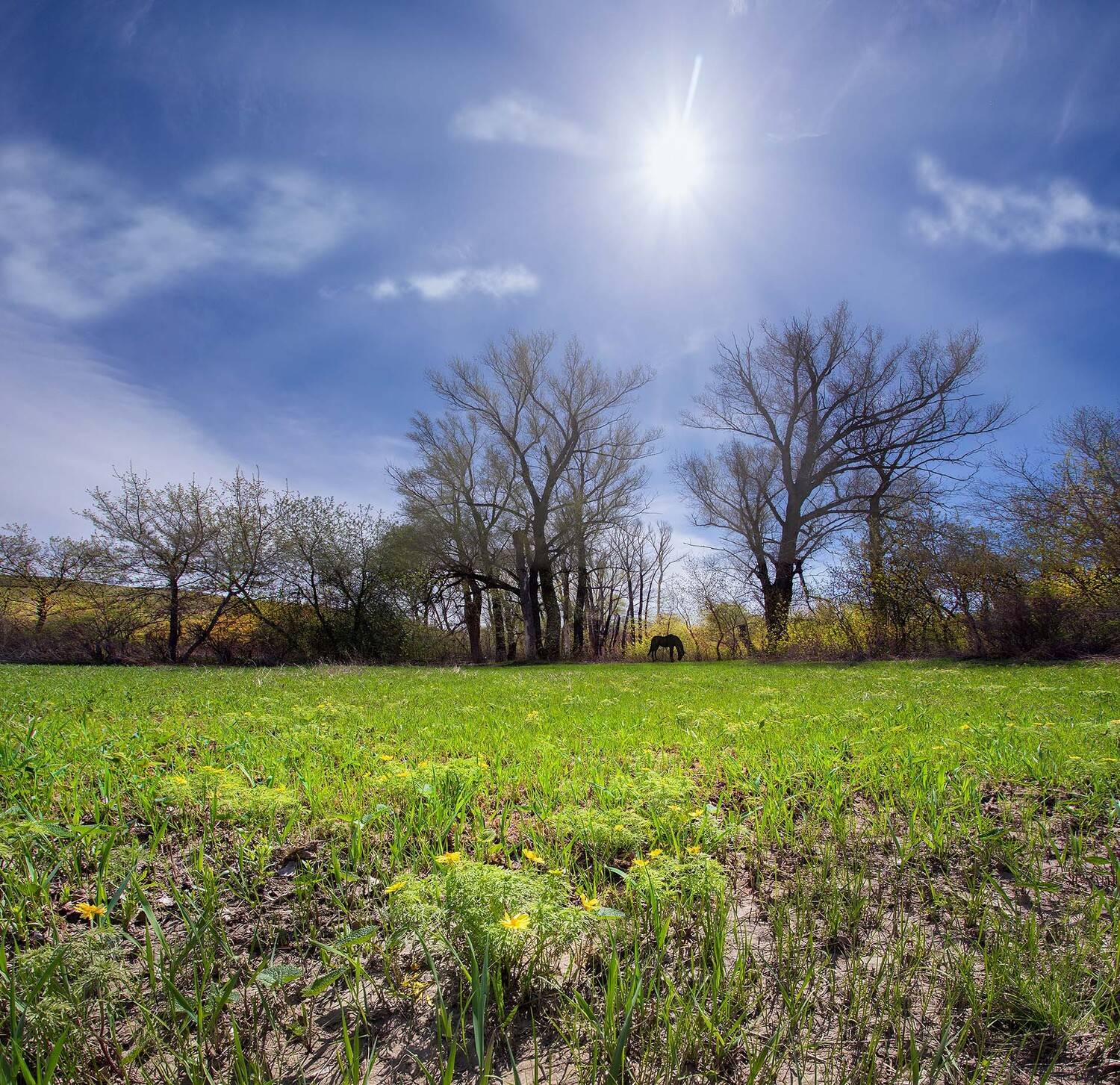 орск оренбургская обл. качурин новотроицк южный урал, Качурин Алексей