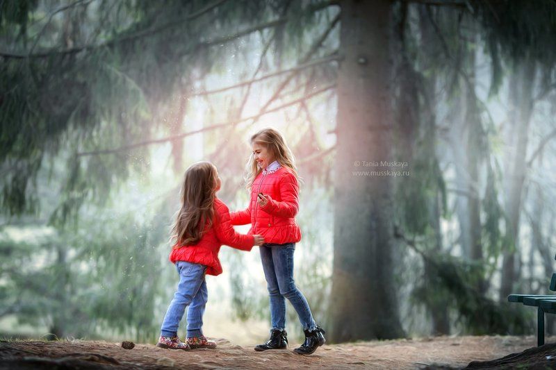 сестры Сестры фото превью