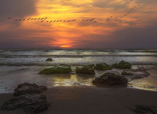 Фантазия номер три)