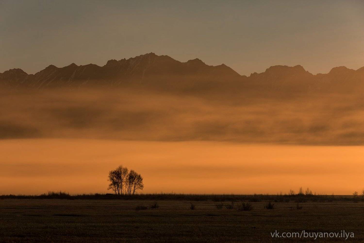 , Илья Буянов
