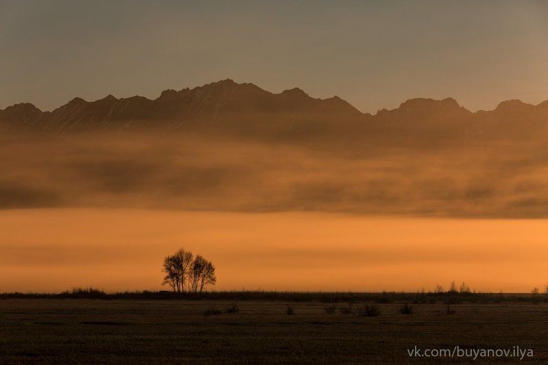Утро в Саянах фото превью