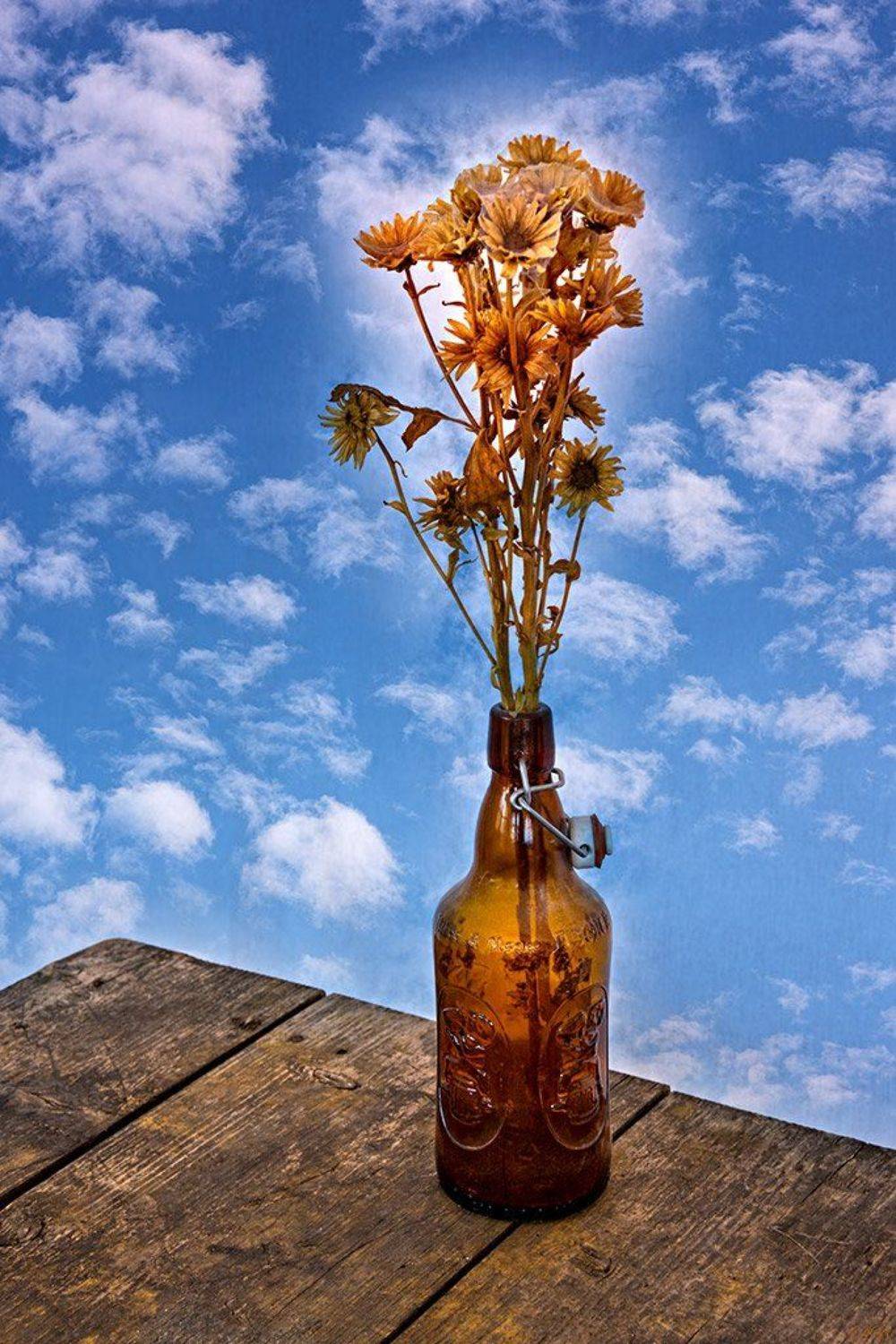 blue, bottle, color, colors, color image, concept, conceptual, flower, flowers, photography, sky, still life, table,, Dr Didi Baev