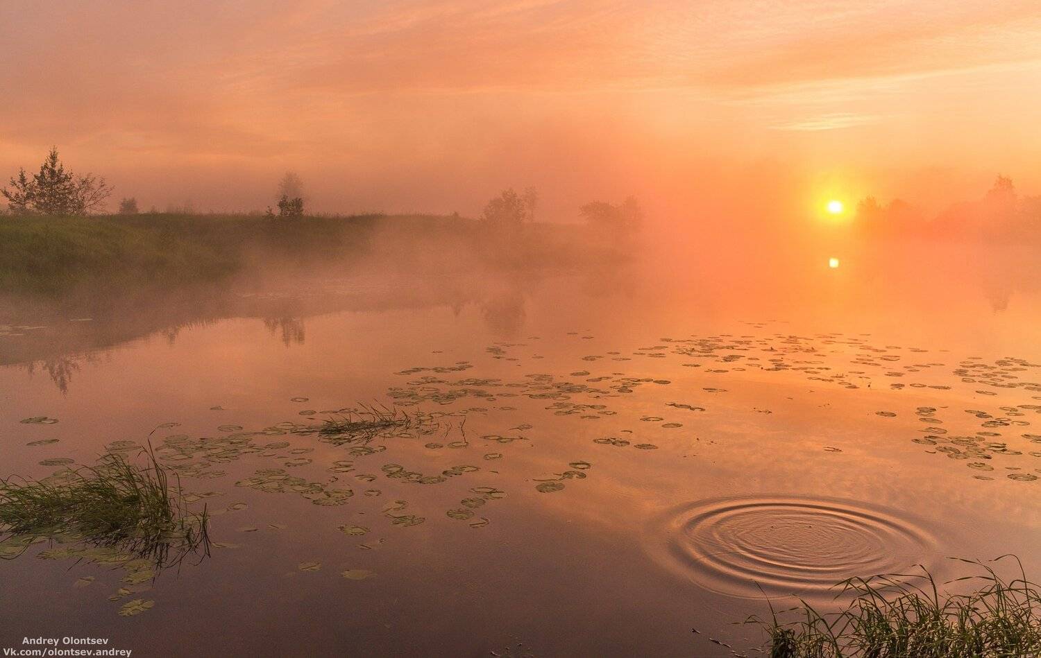 дубна, наукоград, подмосковье, россия, пейзаж, пейзажи, вода, солнце, отражение, рассвет, красота, природа, весна, погода, canon dubna, naukograd, moscow, russia, landscape, water, sun, reflection, dawn, beauty, nature, spring, weather, Андрей Олонцев