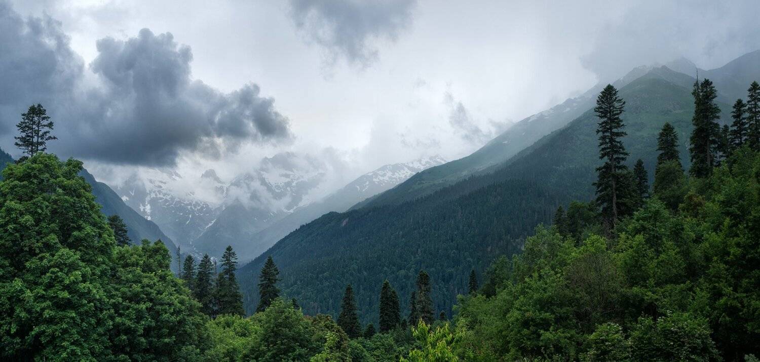 , Игорь Мелекесцев