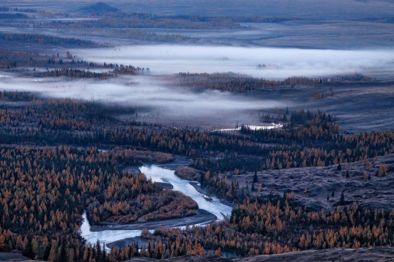 , Галина Хвостенко