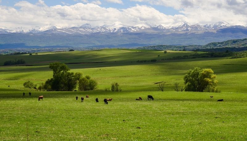 луга, горы, свет Простор фото превью