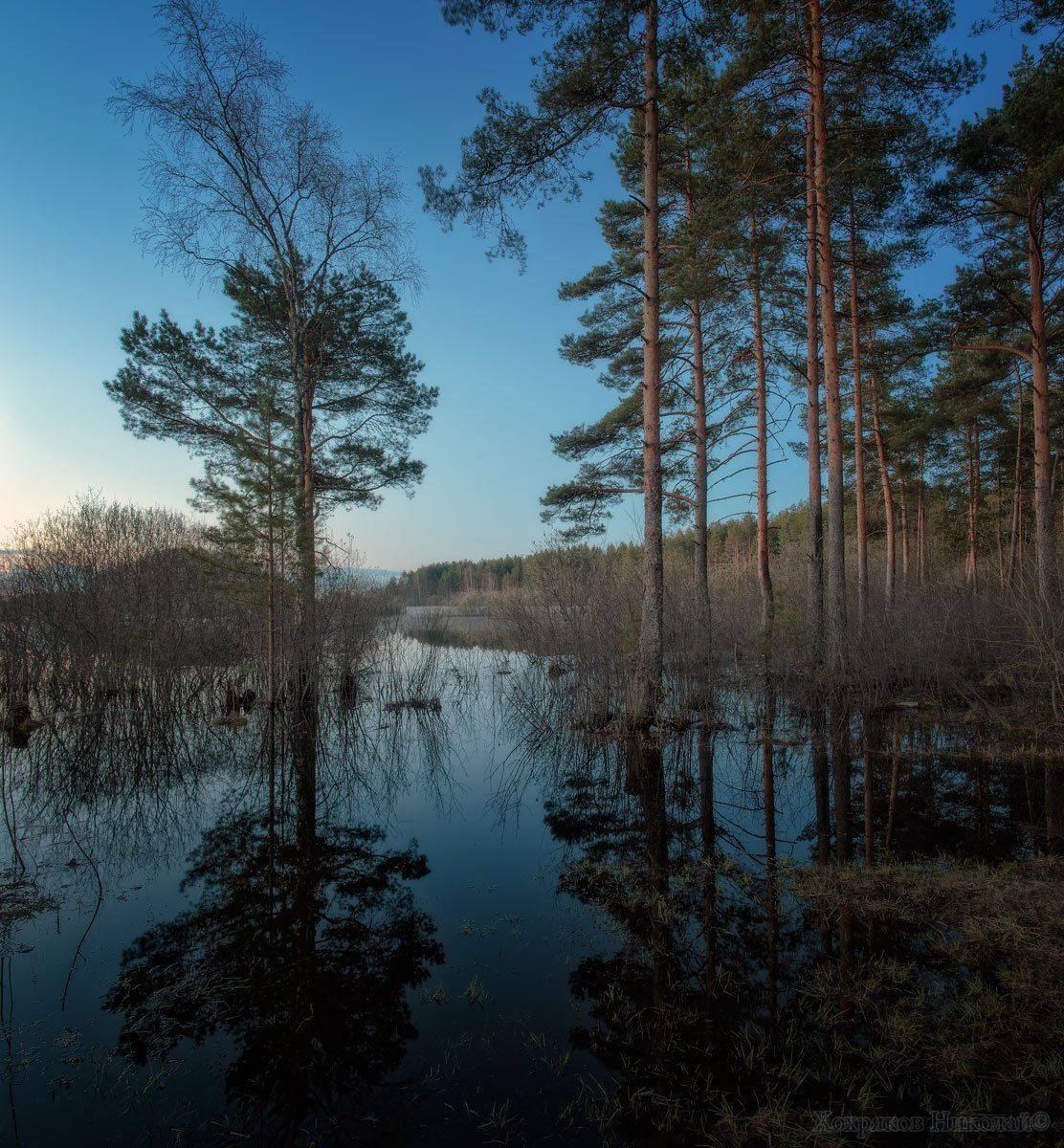 , Хохряков Николай