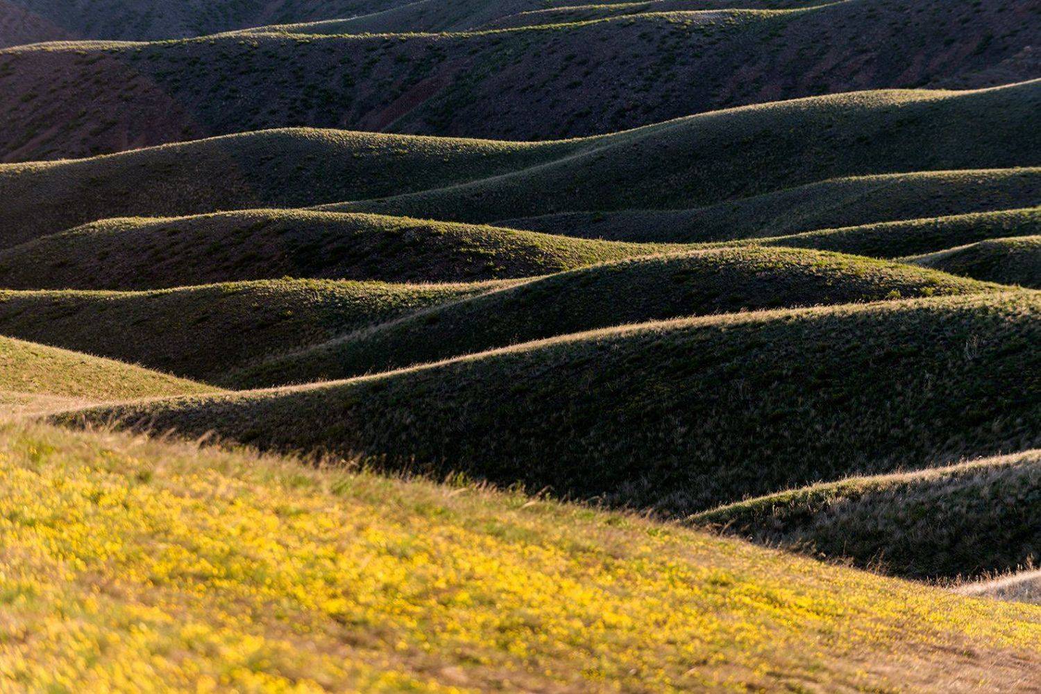 , Орлов Михаил