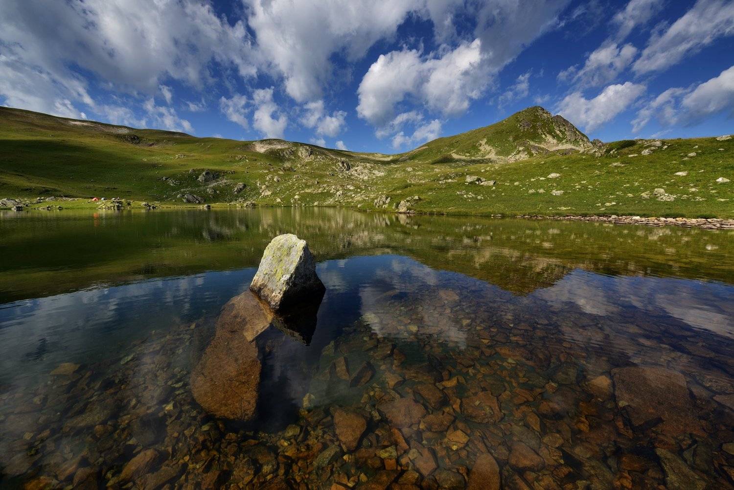 , Максим Евдокимов (www.wildphotorus.ru)
