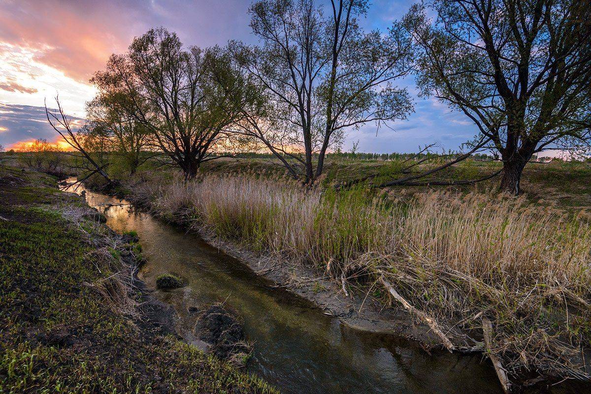 , Владислав Никишин