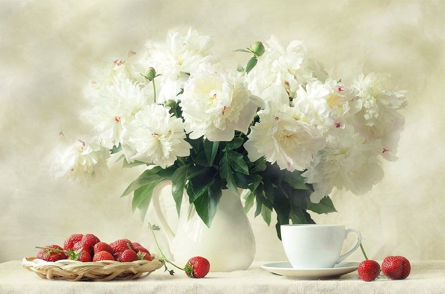 Утро пионов. Автор: Марина Володько , Марина Володько