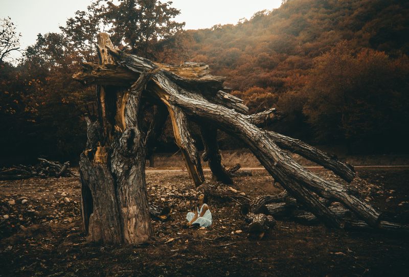 в доме фото превью