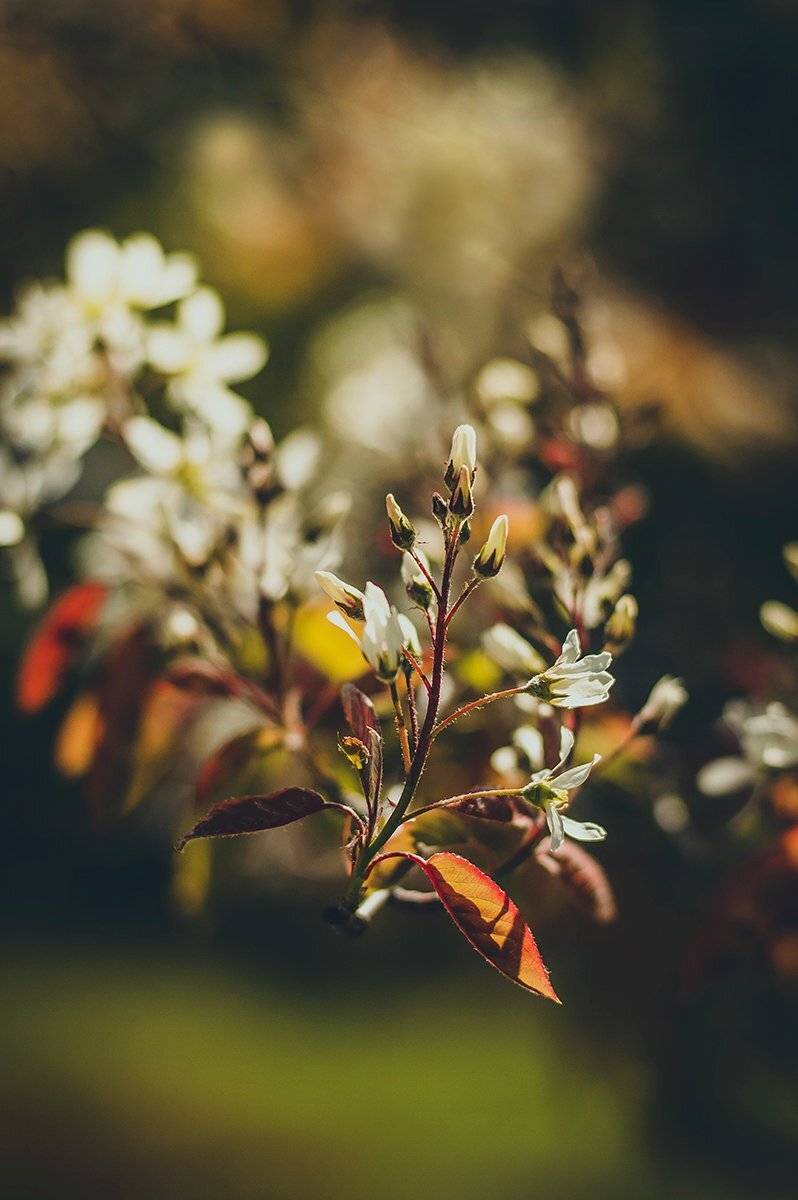 , Чернякова Анна