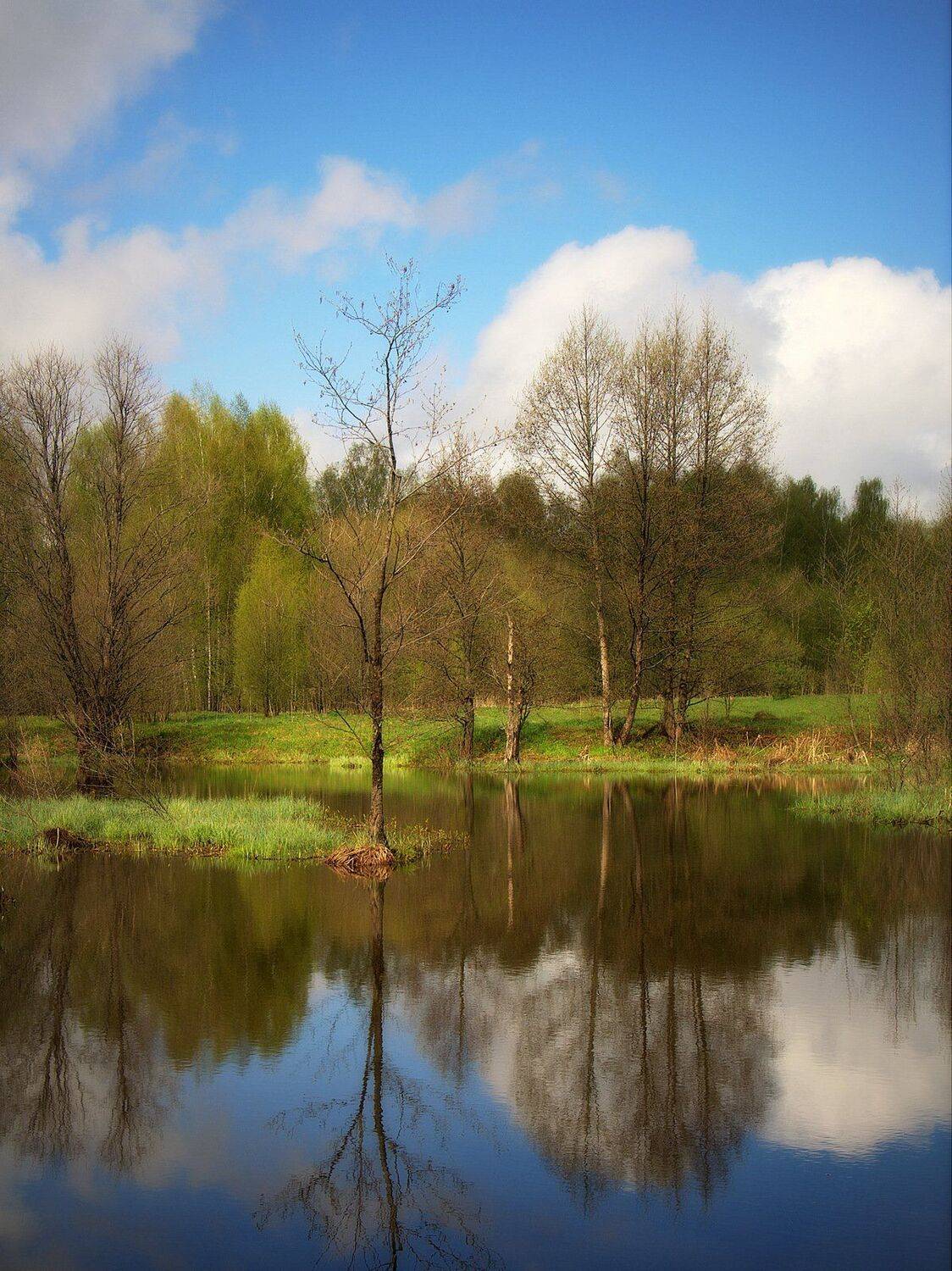 сергей алексеев, пейзаж, Сергей Алексеев