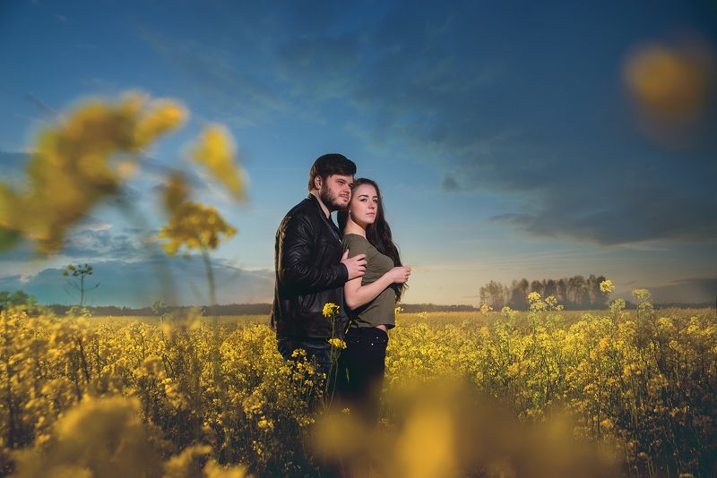 Рапсовое поле фото превью