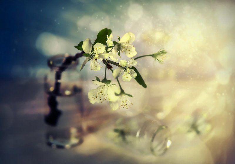 ...простой сюжет фото превью