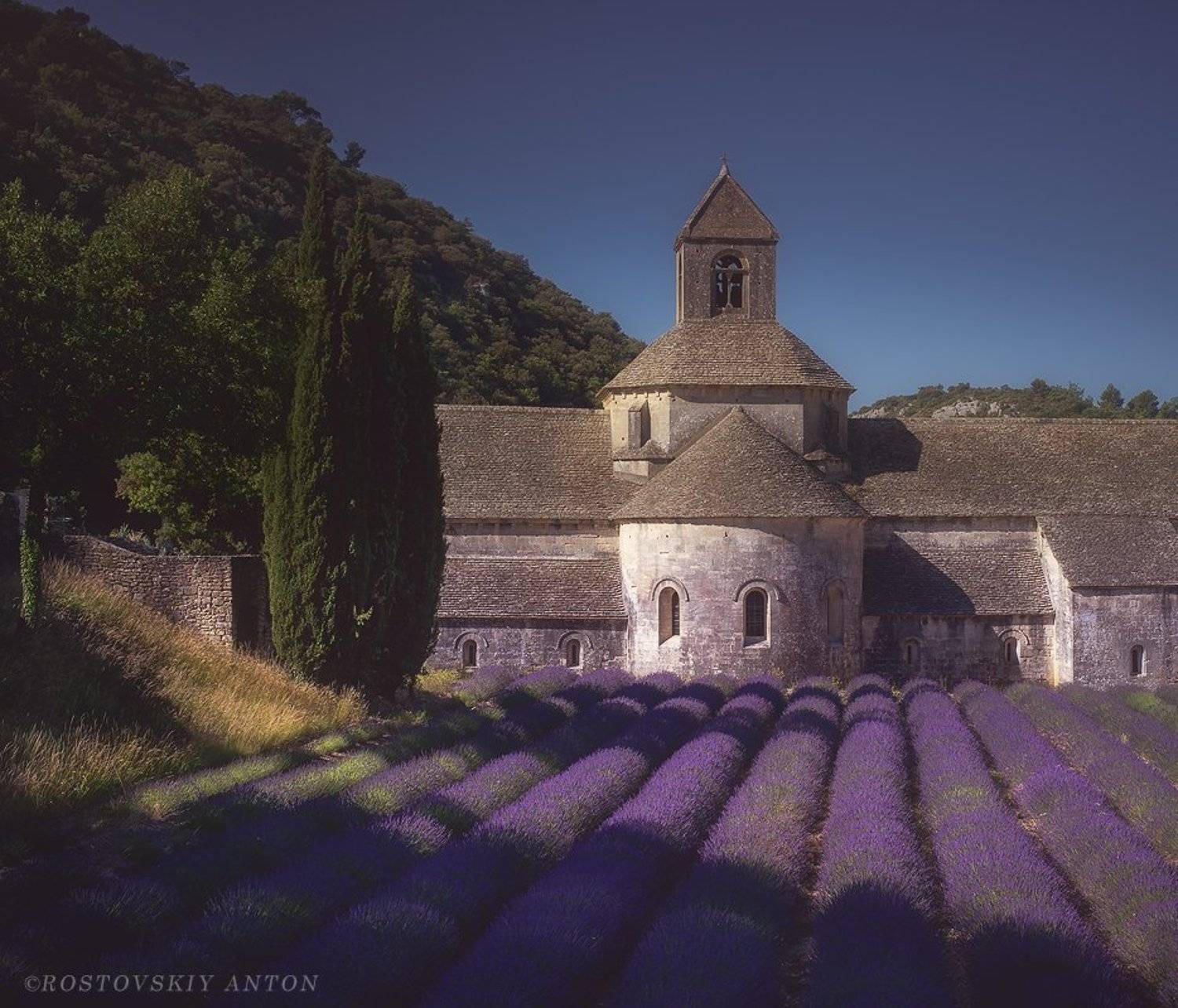 сенанк, senanque, франция, прованс, фототур, Антон Ростовский