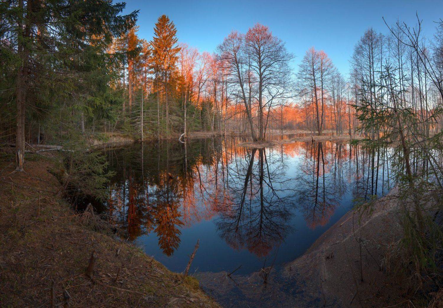 , Дмитрий Козлов