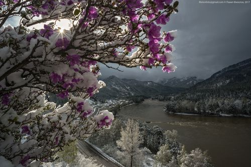 Солнце на минутку