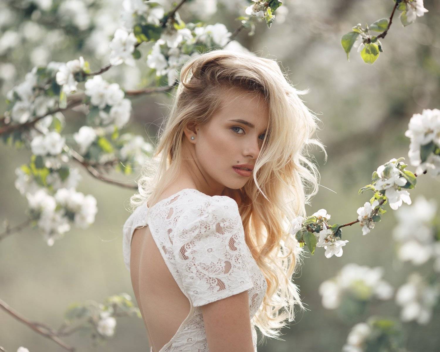 , Сергей Сорокин