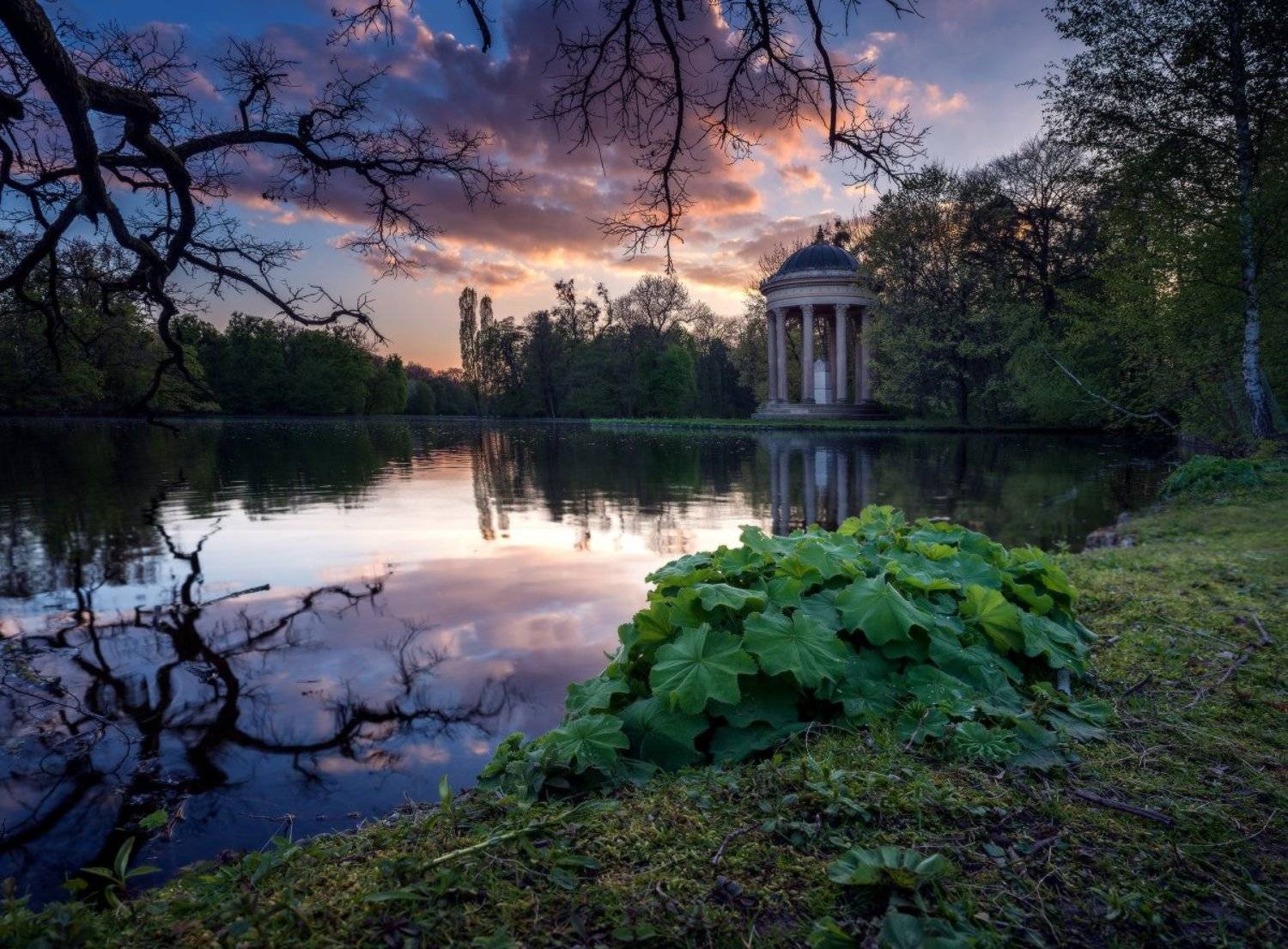 , Синкальський Тарас